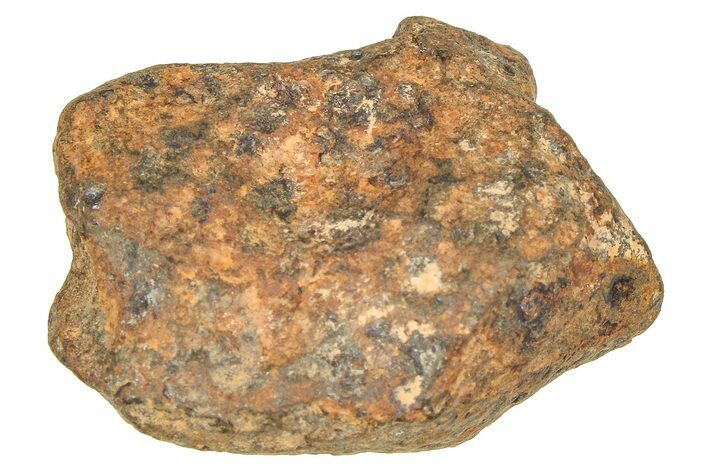 Mundrabilla Iron Meteorite ( g) - Australia #374348